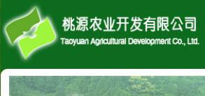 浮梁縣農(nóng)業(yè)開發(fā)公司與茶葉大數(shù)據(jù) 異合食品餐飲網(wǎng)運(yùn)營新機(jī)遇