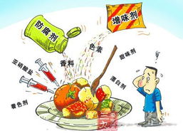 浙江新政 食品添加劑交易備案與住宿服務(wù)創(chuàng)新升級(jí)